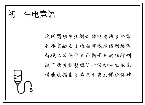 初中生电竞语